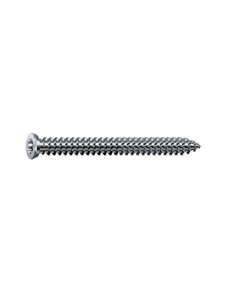 variant 24929