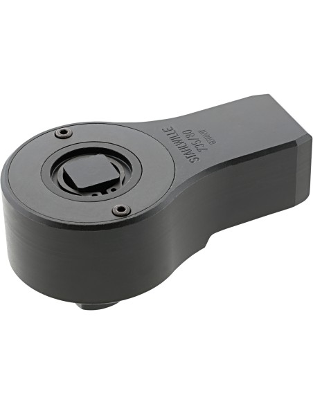 variant 31419
