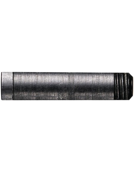 variant 31838