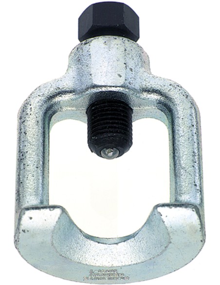 variant 32036