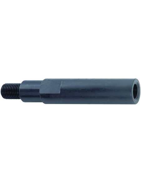 variant 32319