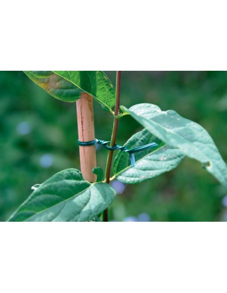 ACCESORIOS  AP-FIX  VERDE