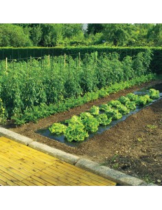 ANTIHIERBAS TERRAFILM