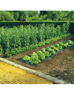 ANTIHIERBAS TERRAFILM