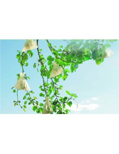 PROTECTORES PARA FRUTA FRUITSAC