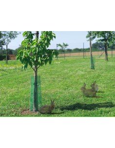 CONDUCTOS PROTECCIÓN ANTIROEDORES TREEGUARD