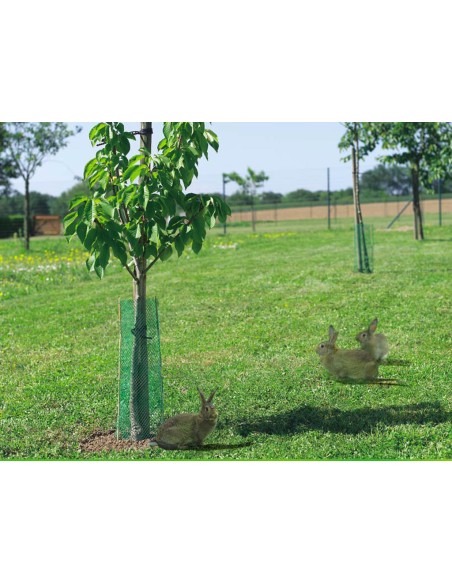 CONDUCTOS PROTECCIÓN ANTIROEDORES TREEGUARD