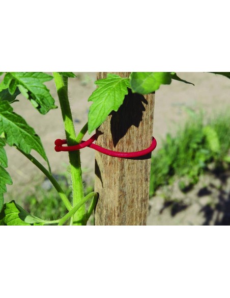 JARDÍN AGRÍCOLA - CLIPS