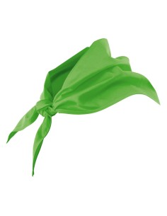 PAÑUELO TRIANGULAR. VERDE LIMA