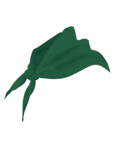 PAÑUELO TRIANGULAR. VERDE BOSQUE 2