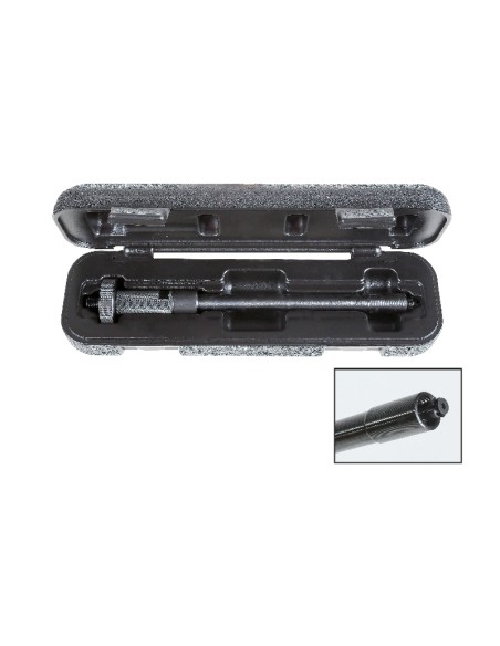 variant 53892