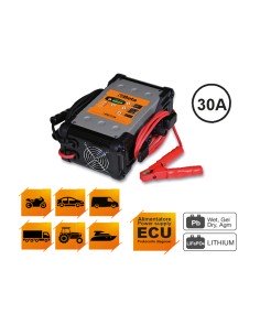 CARGADOR DE BATERÍAS MULTIFUNCIONES ELECTRÓNICO 6-12-24 V